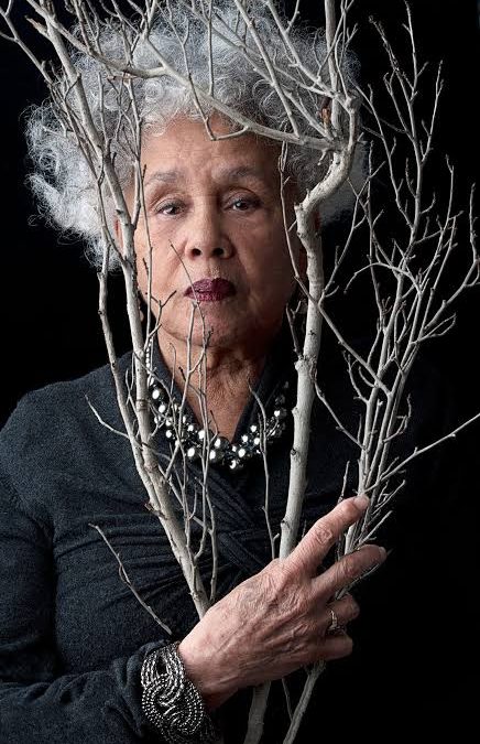 The Art of Betye Saar